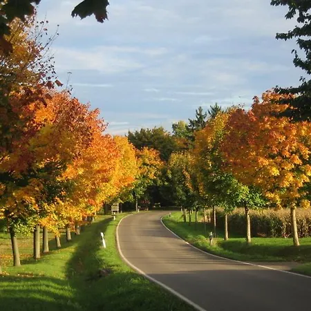 Апартаменты Kaestle *